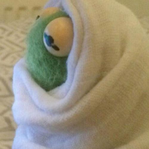 สมาชิกหมายเลข 5898104