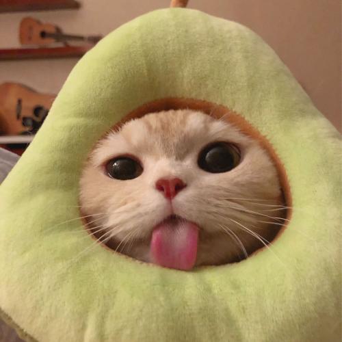 สมาชิกหมายเลข 6529172