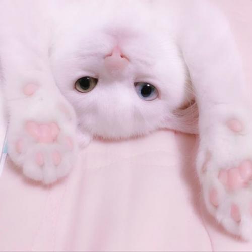 สมาชิกหมายเลข 6534477