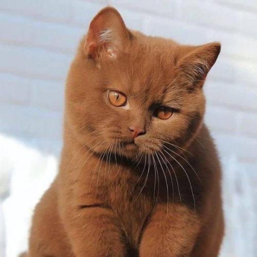 สมาชิกหมายเลข 6464059