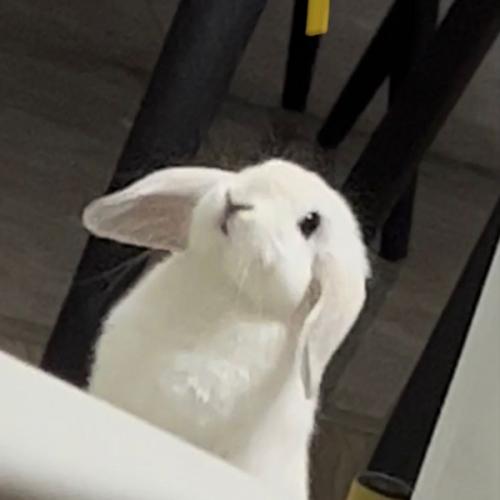 สมาชิกหมายเลข 6699700