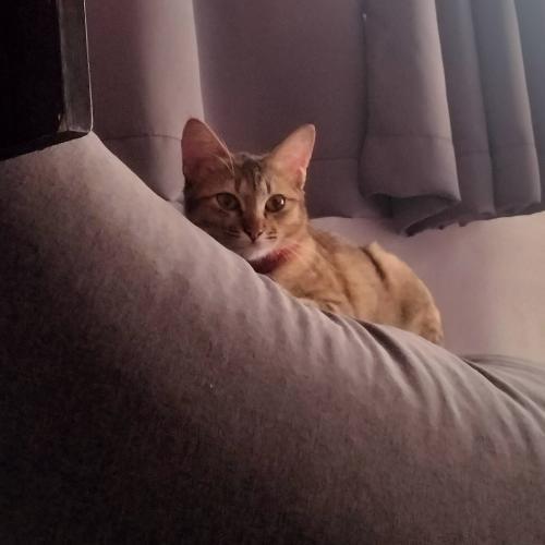 สมาชิกหมายเลข 5862646