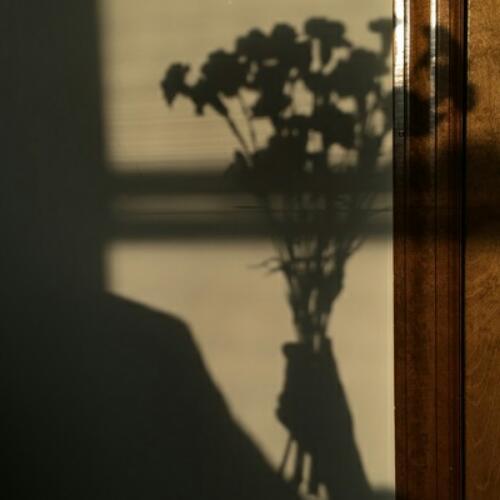 สมาชิกหมายเลข 5415660