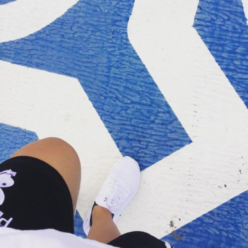 สมาชิกหมายเลข 2481854