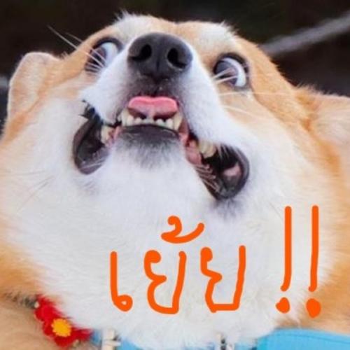 สมาชิกหมายเลข 5931520