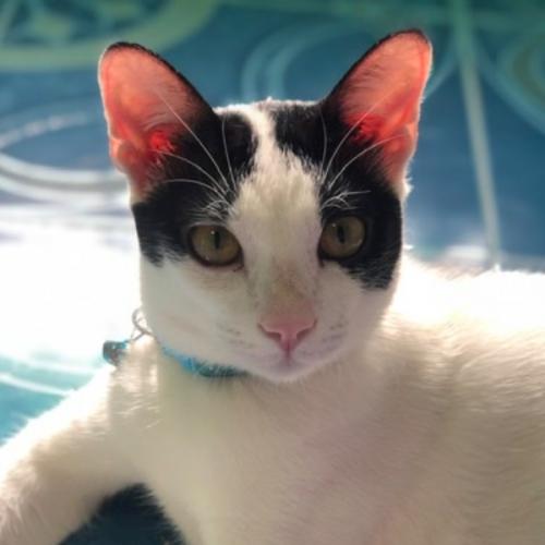 สมาชิกหมายเลข 5931584