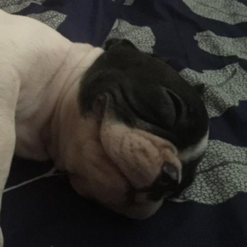 สมาชิกหมายเลข 5931722