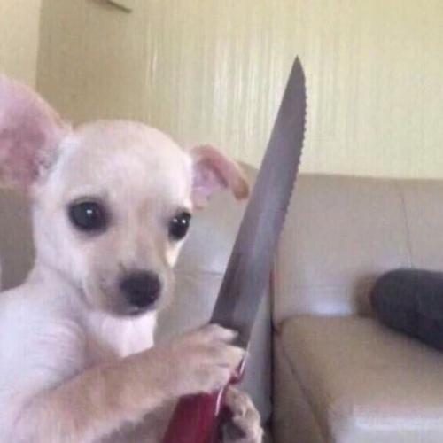 สมาชิกหมายเลข 2733800