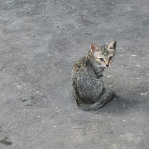 สมาชิกหมายเลข 6535157