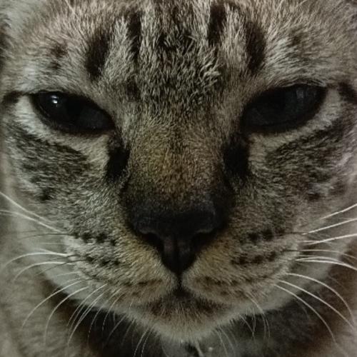 สมาชิกหมายเลข 7546898