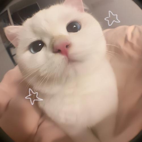 สมาชิกหมายเลข 8073164