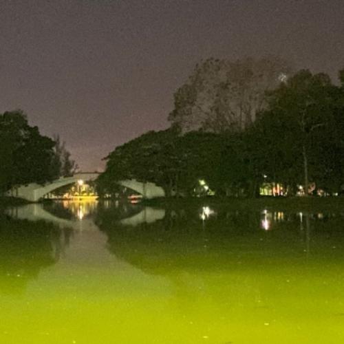 สมาชิกหมายเลข 6280243