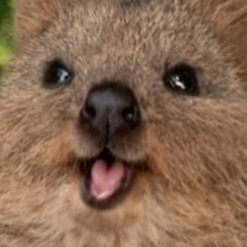 สมาชิกหมายเลข 7315958