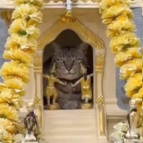 สมาชิกหมายเลข 7553151