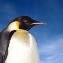 สมาชิกหมายเลข 3817592