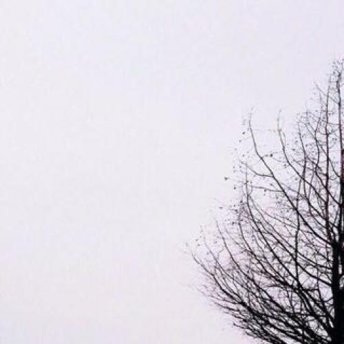 สมาชิกหมายเลข 2335491