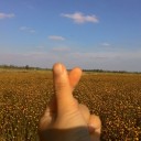 สมาชิกหมายเลข 3986521