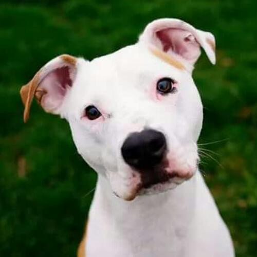 สมาชิกหมายเลข 4282735