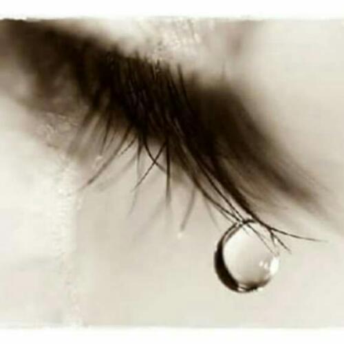 สมาชิกหมายเลข 4663733