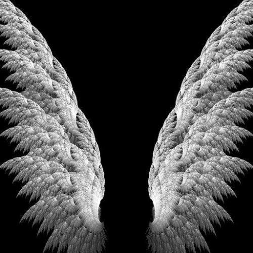 สมาชิกหมายเลข 4663770