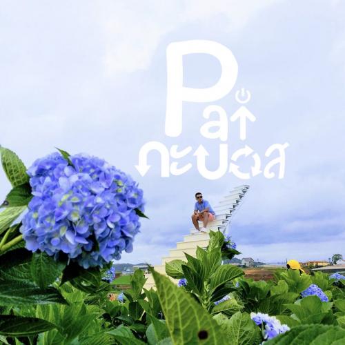 สมาชิกหมายเลข 5263493