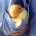 สมาชิกหมายเลข 5419890