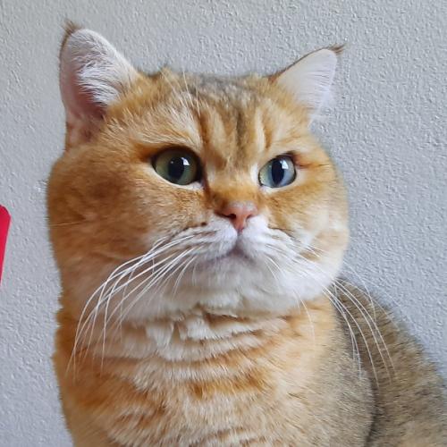 สมาชิกหมายเลข 5931907