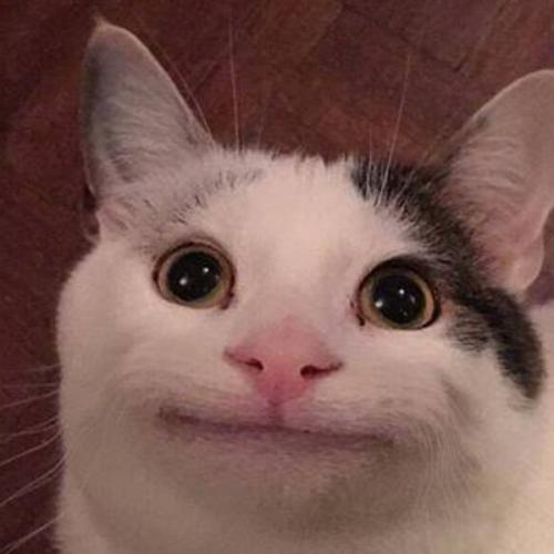 สมาชิกหมายเลข 5931950