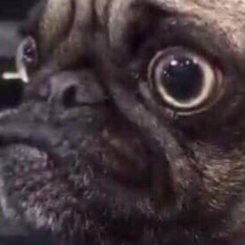 สมาชิกหมายเลข 5932228