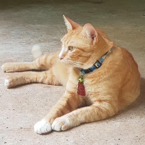 สมาชิกหมายเลข 1509493