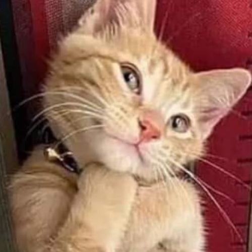 สมาชิกหมายเลข 5877764