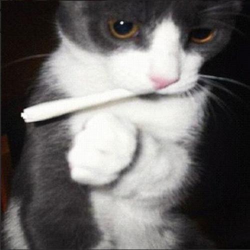 สมาชิกหมายเลข 6535119