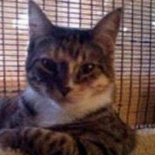 สมาชิกหมายเลข 6535667