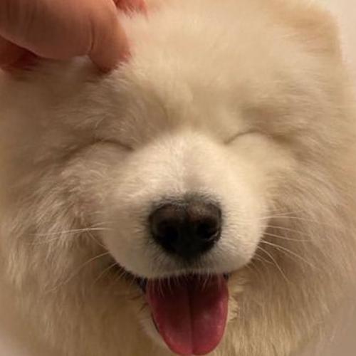 สมาชิกหมายเลข 6535705