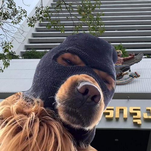 สมาชิกหมายเลข 5657359