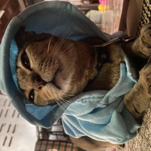 สมาชิกหมายเลข 7254600