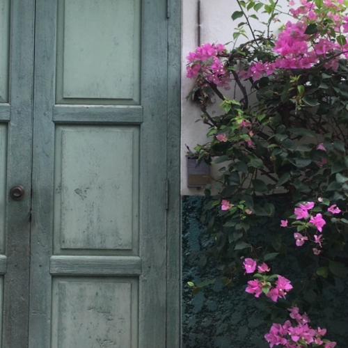 สมาชิกหมายเลข 6847774