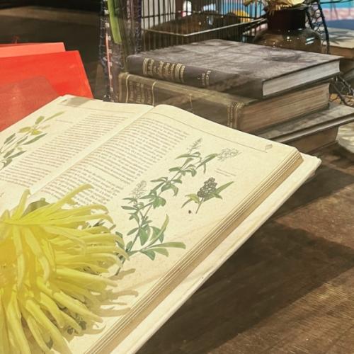 สมาชิกหมายเลข 8028362