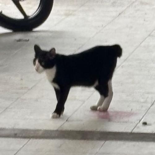 สมาชิกหมายเลข 7499594