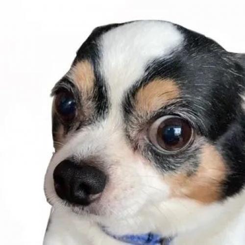 สมาชิกหมายเลข 9047572