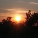 สมาชิกหมายเลข 3817716