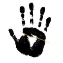 สมาชิกหมายเลข 3818222