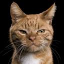 สมาชิกหมายเลข 3069057