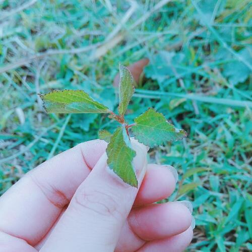 สมาชิกหมายเลข 4664213