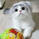 สมาชิกหมายเลข 5420123