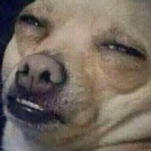 สมาชิกหมายเลข 5613971