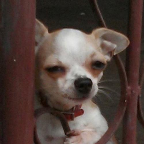 สมาชิกหมายเลข 5743428