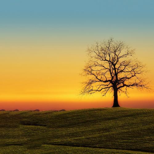 Sunset without you