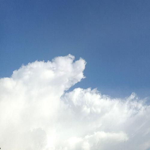 สมาชิกหมายเลข 6536316