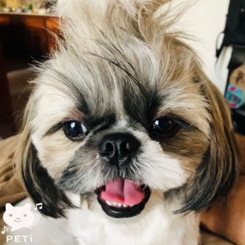 สมาชิกหมายเลข 6536713